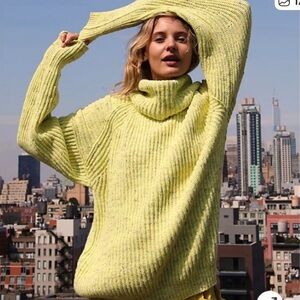 Free People Leo Tunic Sweater